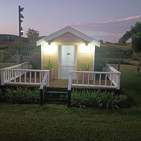 Little Tree Loft 2 Bed & Breakfast Uitenhage ภายนอก รูปภาพ