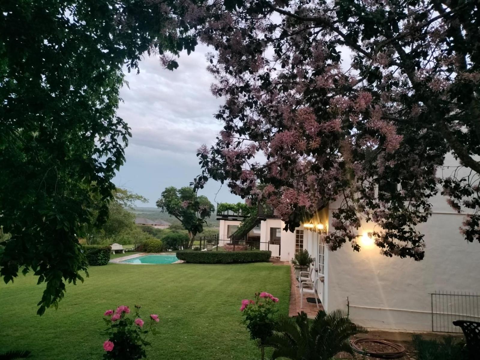 Little Tree Loft 2 Bed & Breakfast Uitenhage ภายนอก รูปภาพ