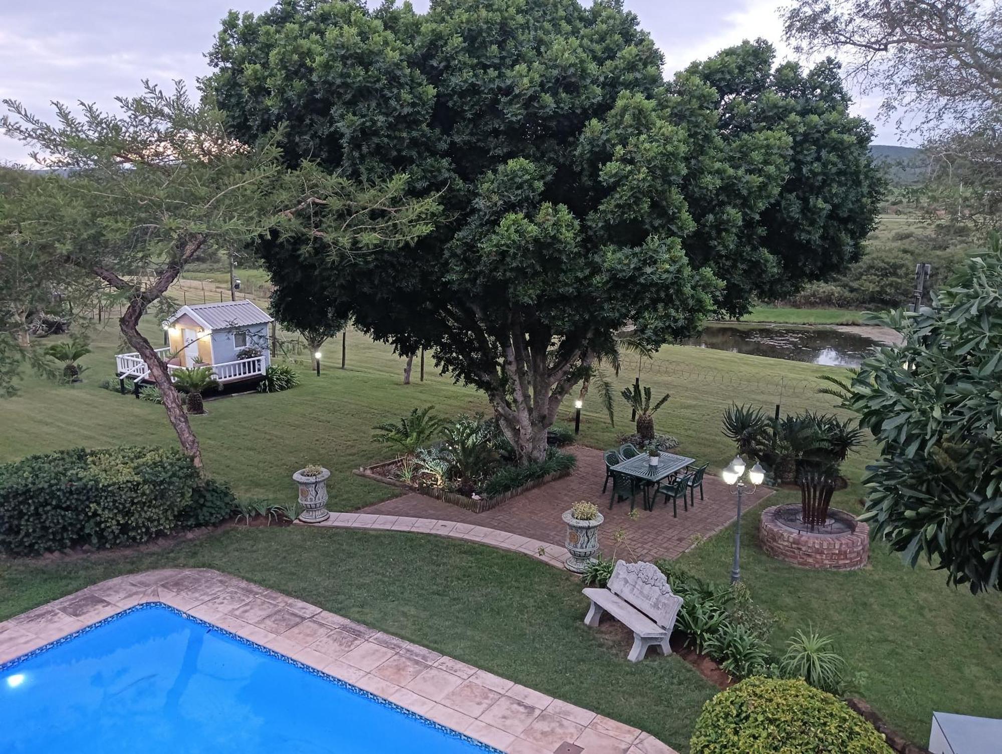 Little Tree Loft 2 Bed & Breakfast Uitenhage ภายนอก รูปภาพ